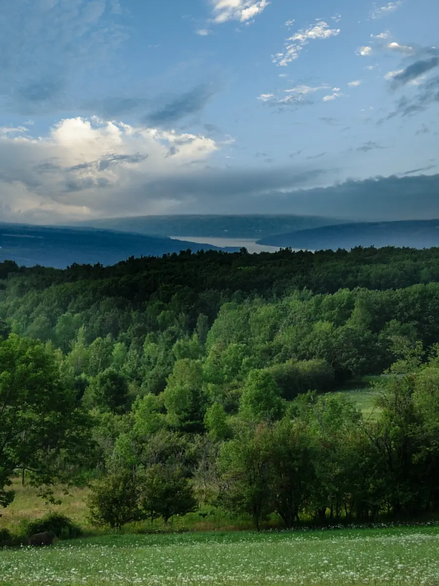 Avoca, New York, in Steuben County